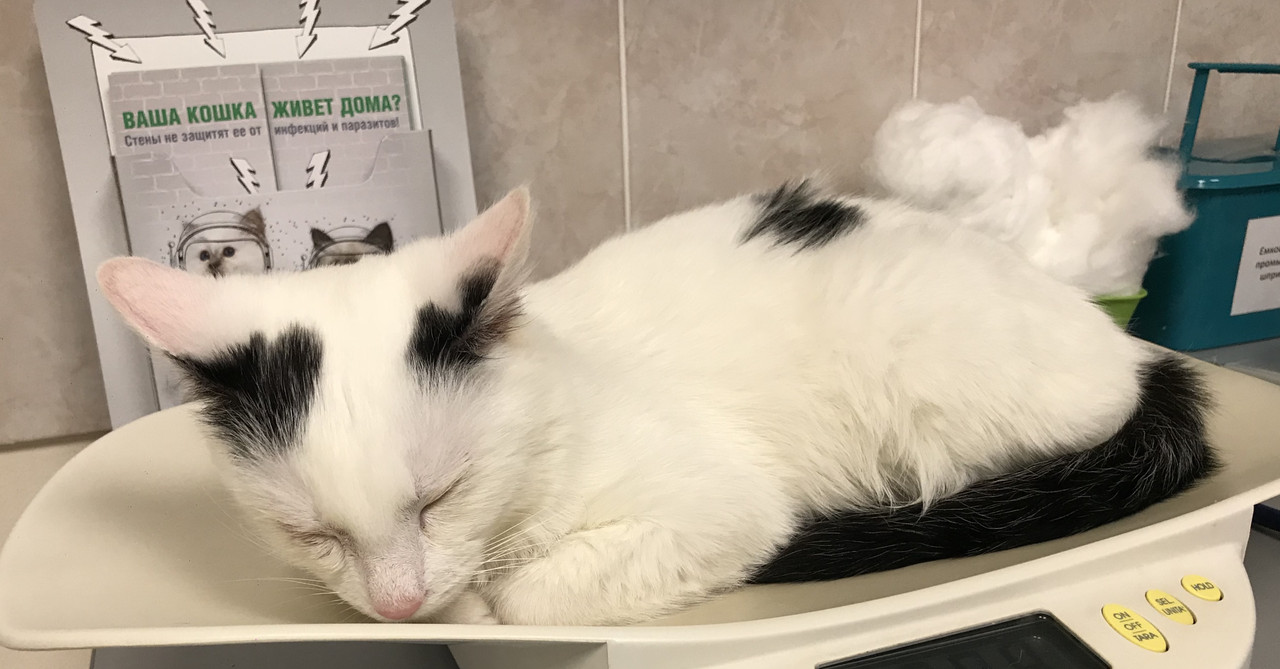 EEEF0A0C-D6C8-4F4F-B0D5-14943B9D57ED