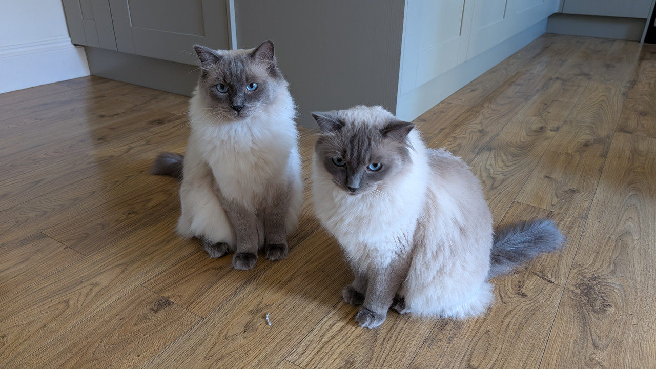 PXL_20250809_072218998