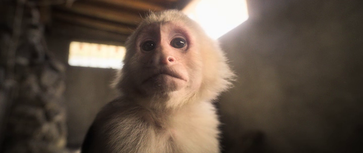 vlcsnap-2023-04-30-14h41m35s054