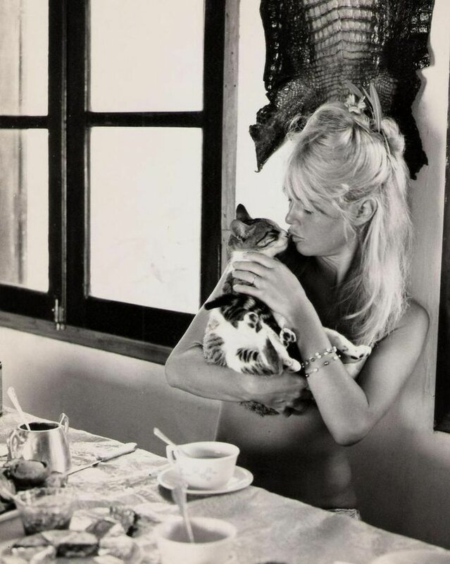 brigitte-bardot