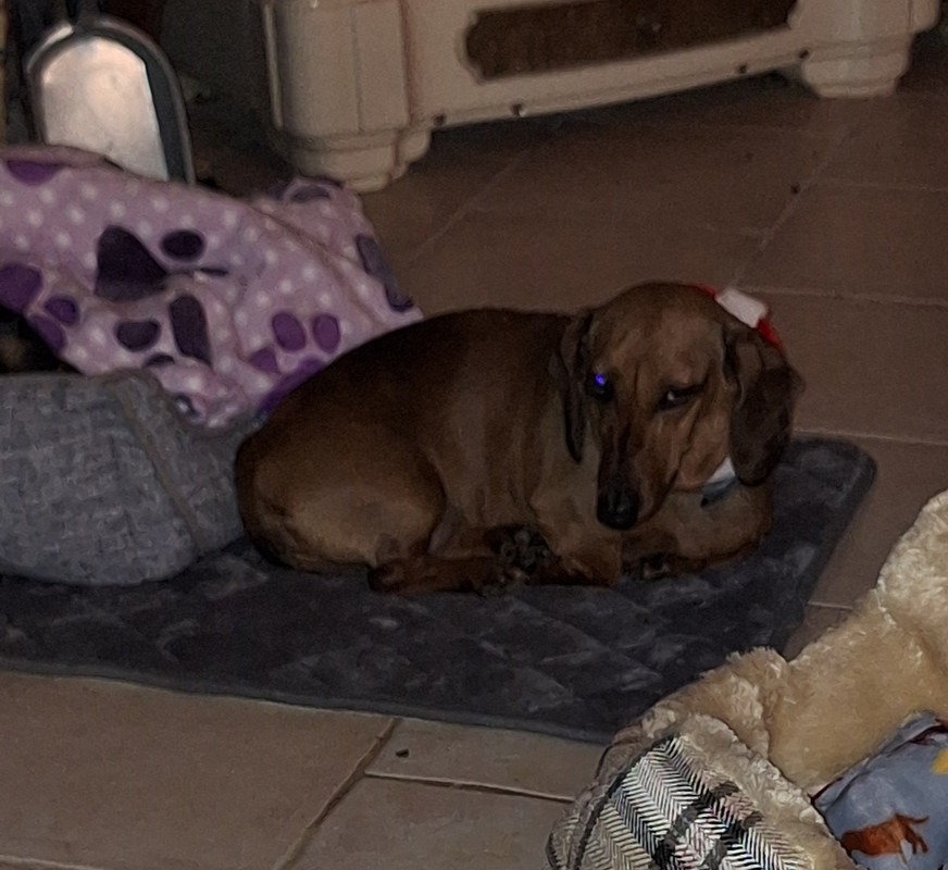 [Image: 20231216-202042.jpg]