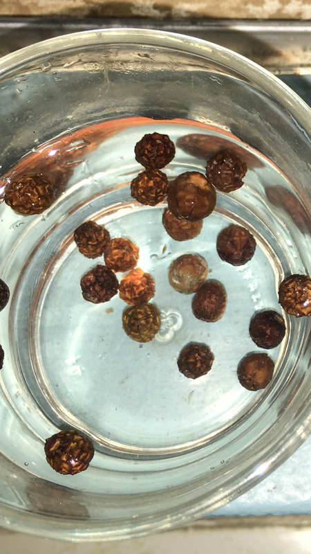 B89972F7-0110-4FF5-87EC-8CB1EE216692