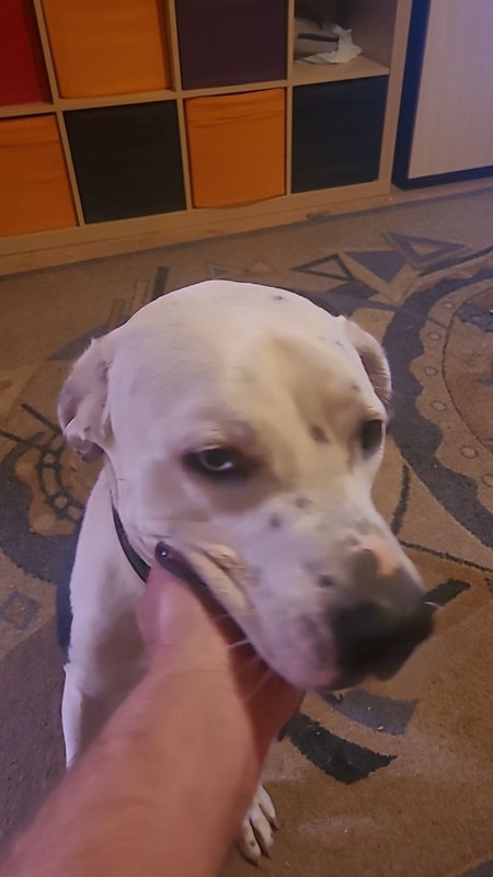 4E467E1B-1CB0-42EE-B980-0B0084B69239