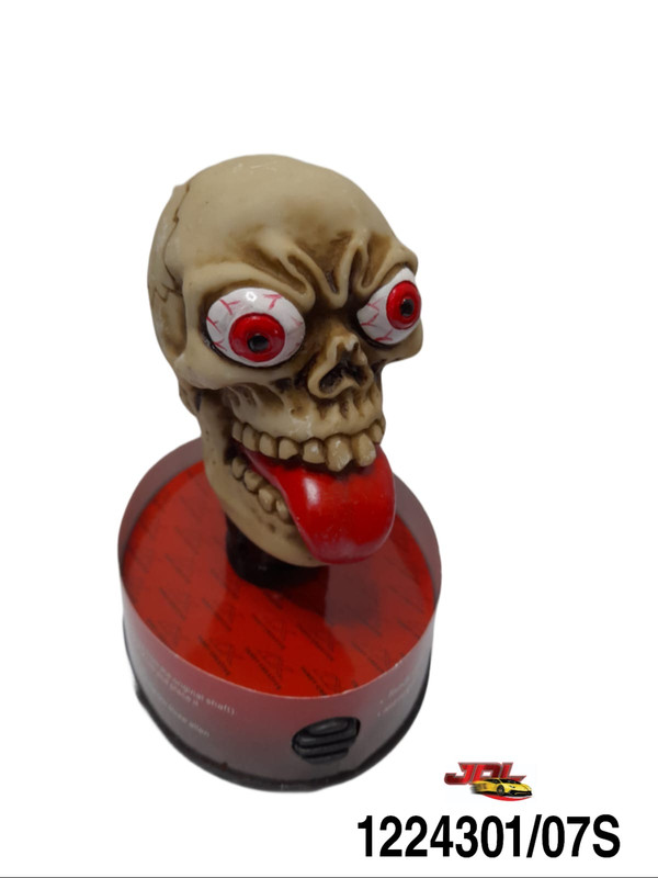POMO CAMBIOS CALAVERA 1224301 07S