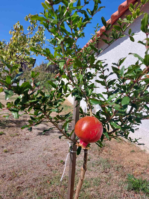 0-02-05-cd9bc88a4a0d8e9f39f1799ef42be4624d1e5a0a91c844fe2c1d92644c091bb4_290e54b3d22a61da