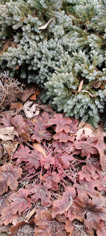 IMG-50eb398e3e85da2a9950bbc7f9f2df1c-V