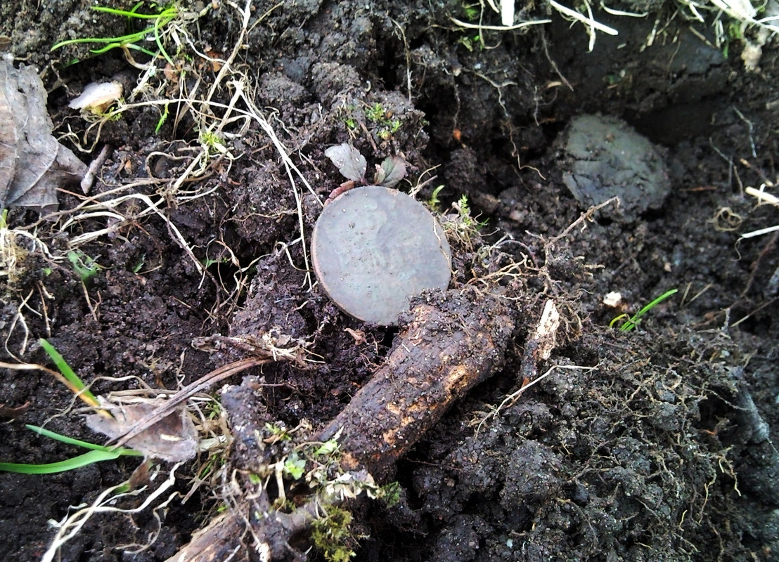 2015-04-19 @17-24-38 - 5 penniä - 1889