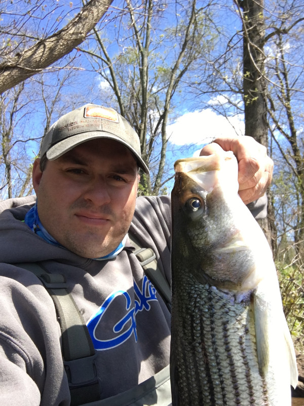 D79FB75E-46A9-40F1-AFB0-8100DA306186