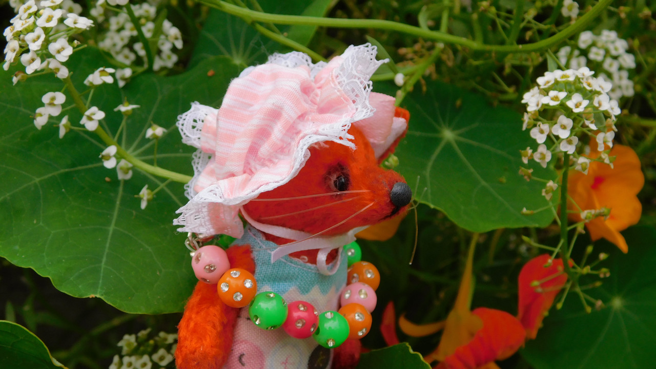 Дачное и  к Хелл сентябрь 2023 209