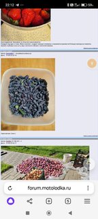 photo-2025-05-20-22-14-01