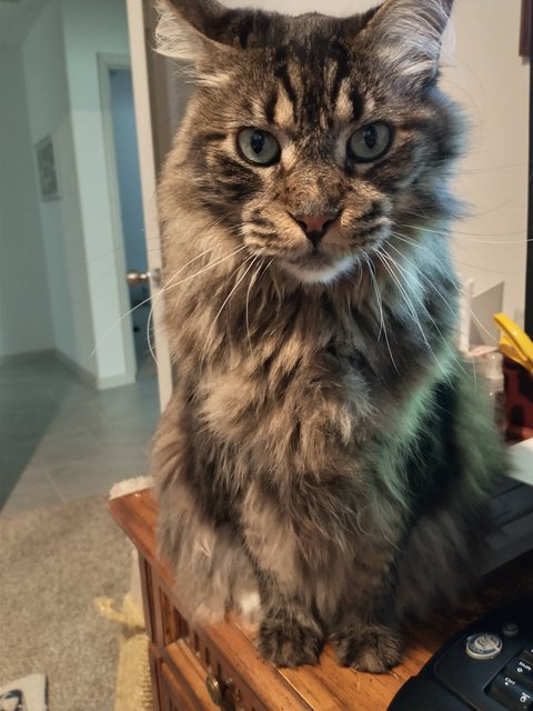 IMG-20231029-171019373-HDR.jpg