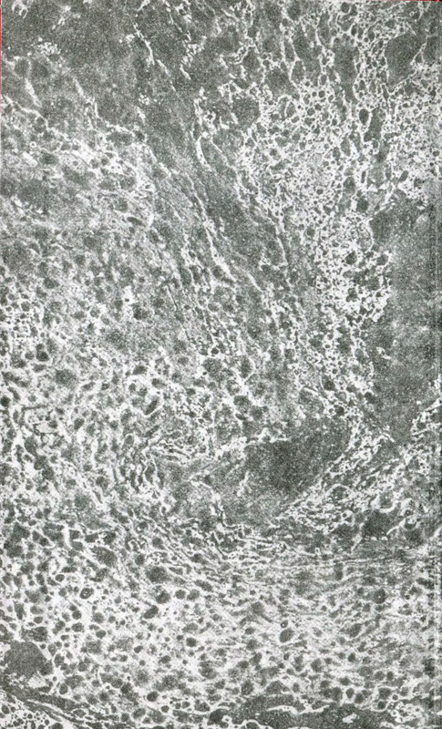 p0002