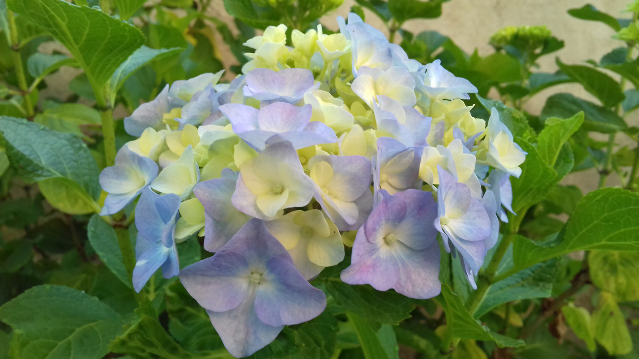 20190604_073931