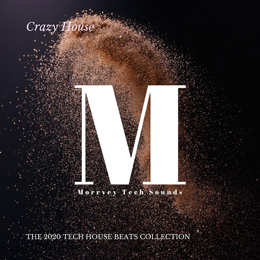 Crazy House - The 2020 Tech House Beats Collection (2020) mp3 320 Kbps