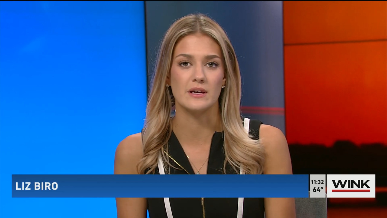 03.19 - 15.30.00 - WINK NEWS at 11 30am  ᴺᵉʷ. Midday news..ts_snapshot_08.51.952