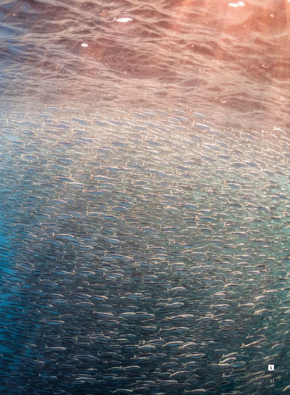 N Phot - Lug-Ago 2024 (2)