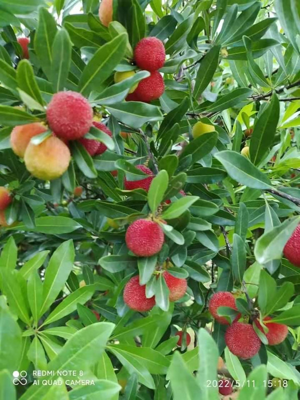 00691562-4D4D-40A5-8CB0-57F785C279DC