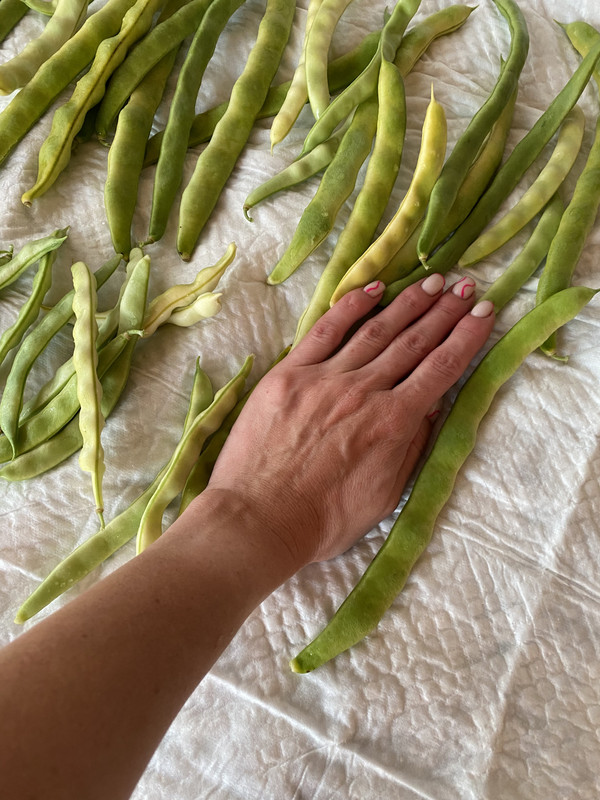 912436D7-3F35-47E9-8E65-A75EC1A70AD0