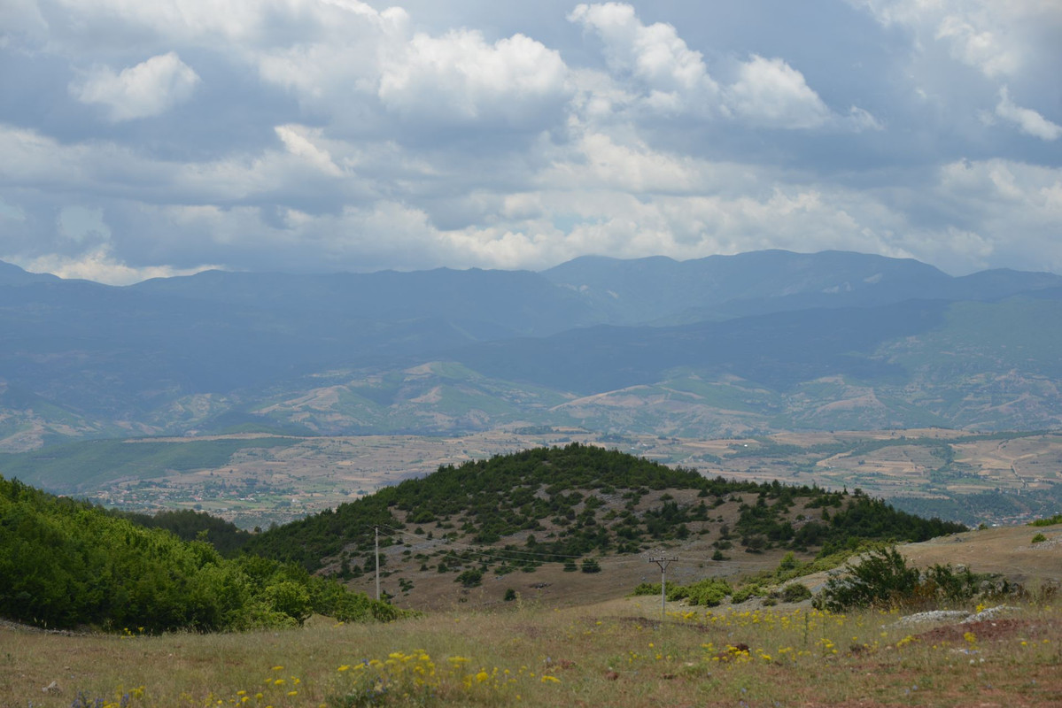 DSC-9017.jpg