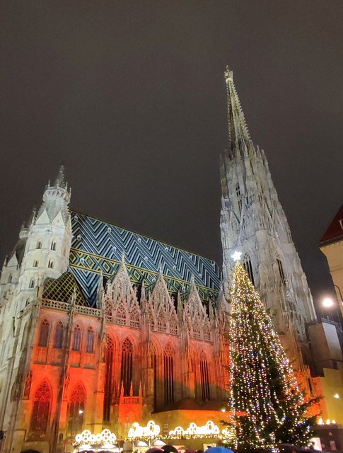 Viena - Bratislava - Praga, Navidad 2024 - Blogs de Europa Central - Mercados Navideños de Viena y Catedral (31)