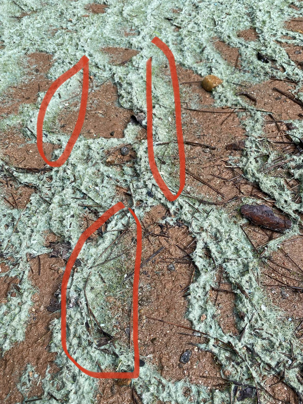 5E507EE8-FEF2-401C-A5CB-7AAF9DFE12EE