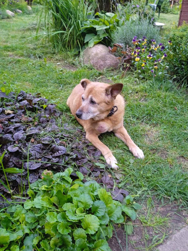 изображение_viber_2023-08-21_11-36-32-457