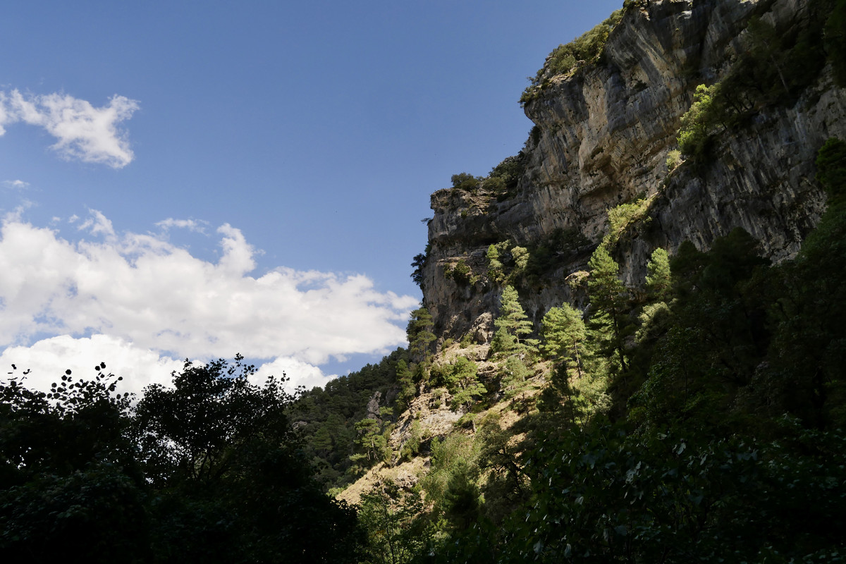 55B831A0-2E37-4CB9-99C8-E36076998BB5