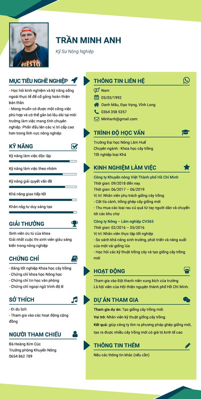 bản cv mẫu bằng tiếng việt