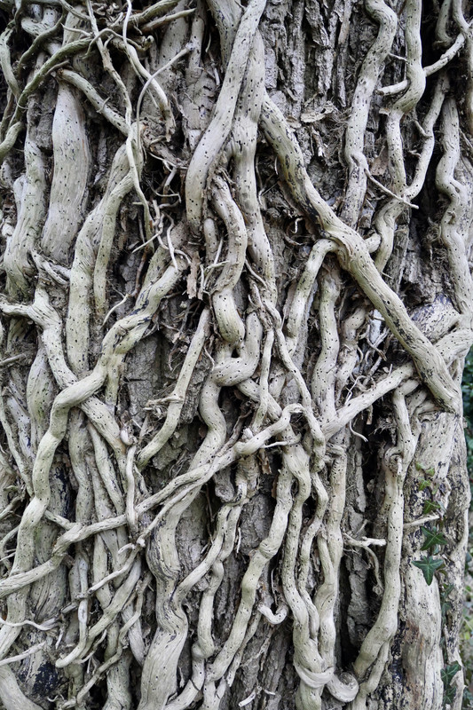 2906C962-1423-419F-BD7D-80705047541D