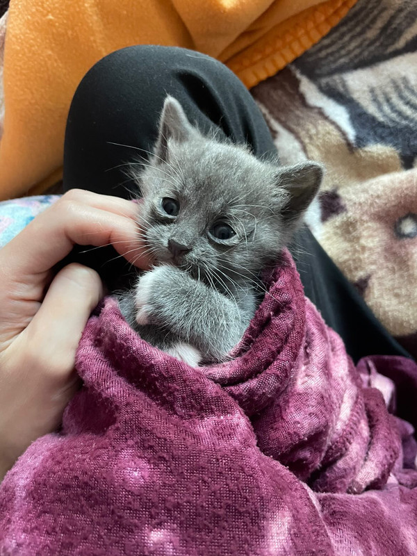 DB09C280-B1C9-4289-9553-29790CEA0ACE