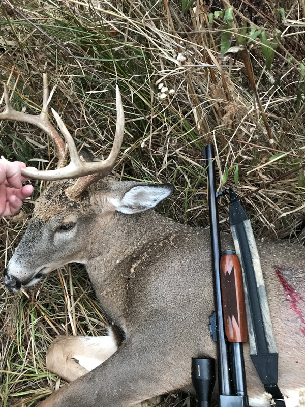 DC6BDB06-55A2-4B28-A3F4-765DFF158A08