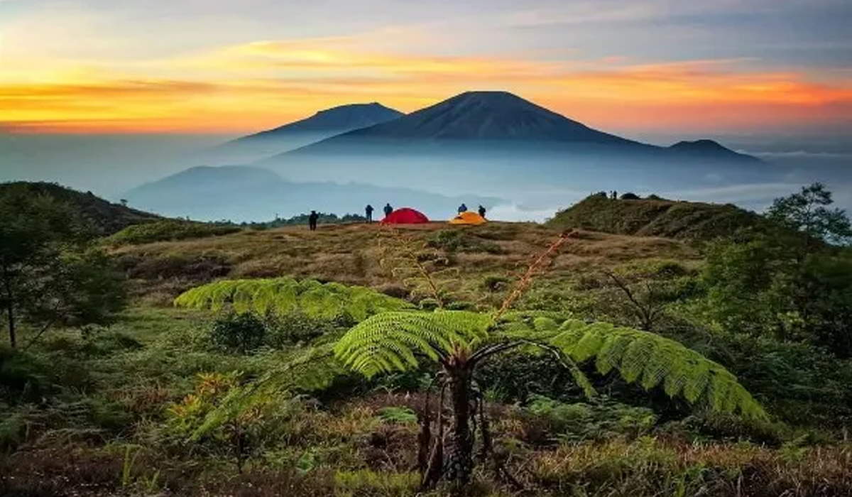 Jelajah Gunung Prau Dieng Spot Favorit Pendaki Untuk Melihat Golden Sunrise
