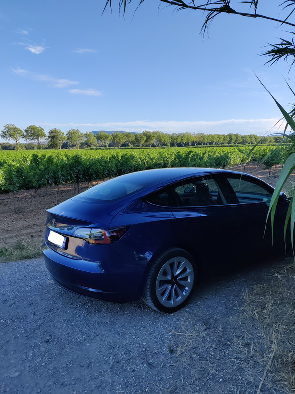 IMG_20220611_192033-2