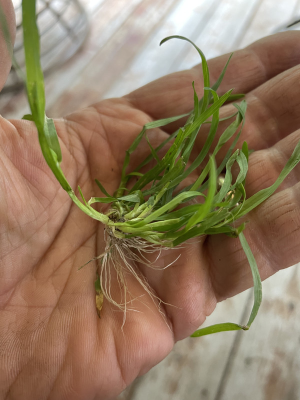 C82C0398-3297-4296-A32D-07ABF2921308