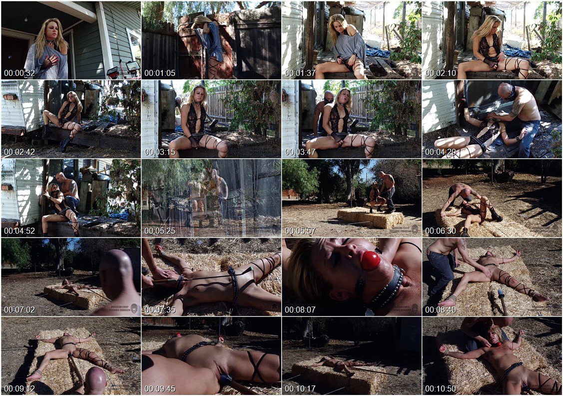 bfck_4312.mp4
