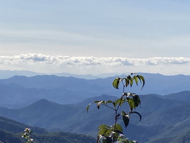 [Image: IMG-2931.jpg]