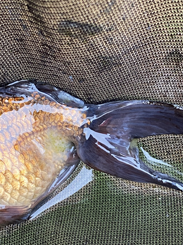 E39FD421-3DC0-4123-ABCC-28FCBA975472