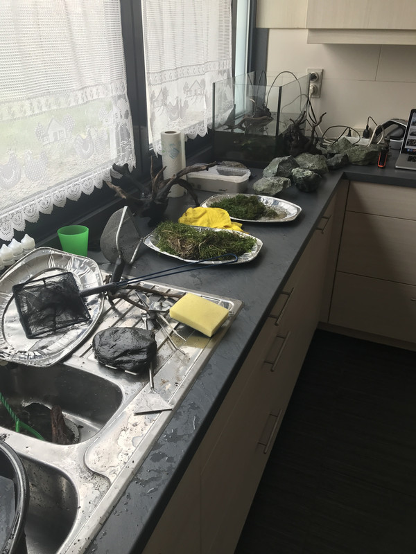 73A32B50-BF74-478E-B93E-A1CE0DCAB3FF