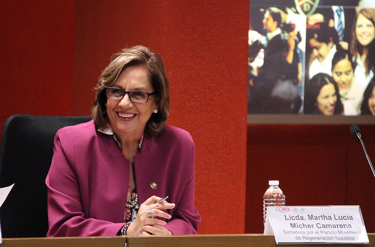 Senadora de Morena recibe acoso por su iniciativa de legalizar el aborto en México