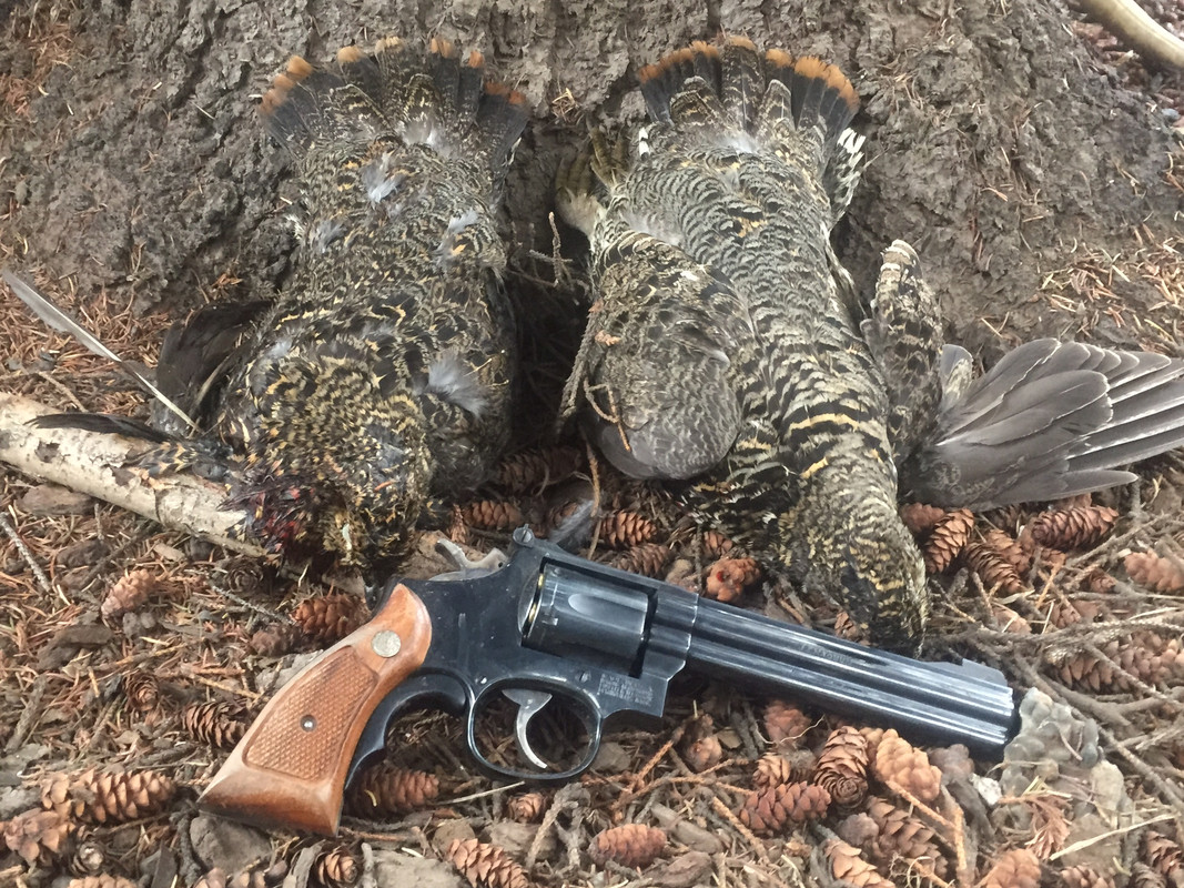 94055309-B793-4412-8E87-E1915FAC6E79