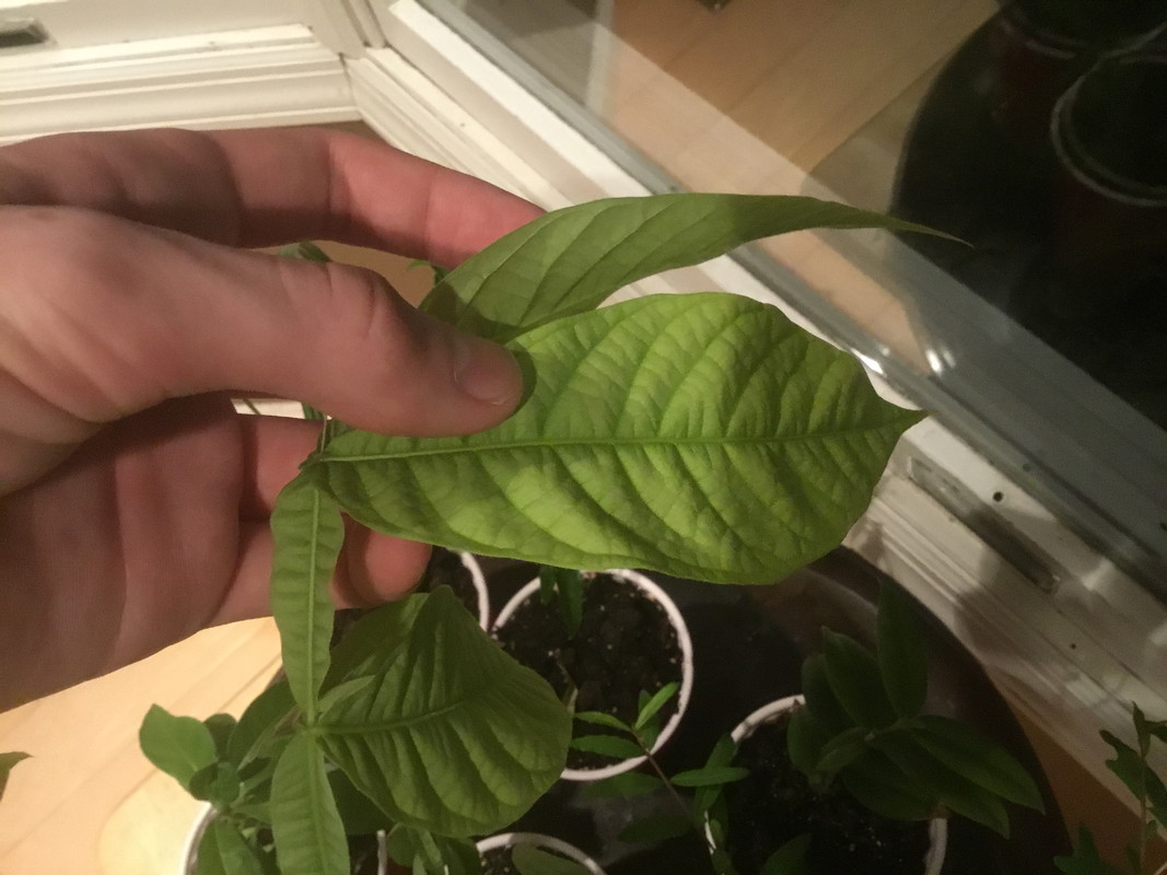 D750F15E-24D2-44FB-8E17-6D1031B908DB