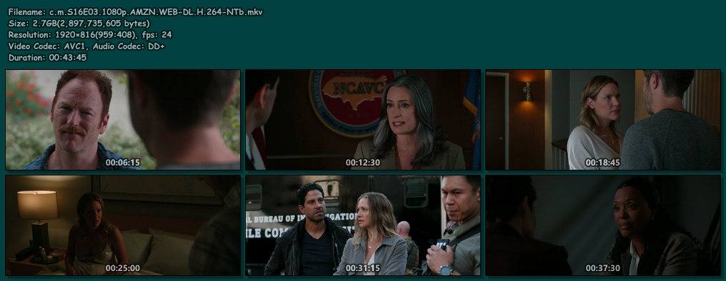 c-m-S16-E03-1080p-AMZN-WEB-DL-H-264-NTb.png