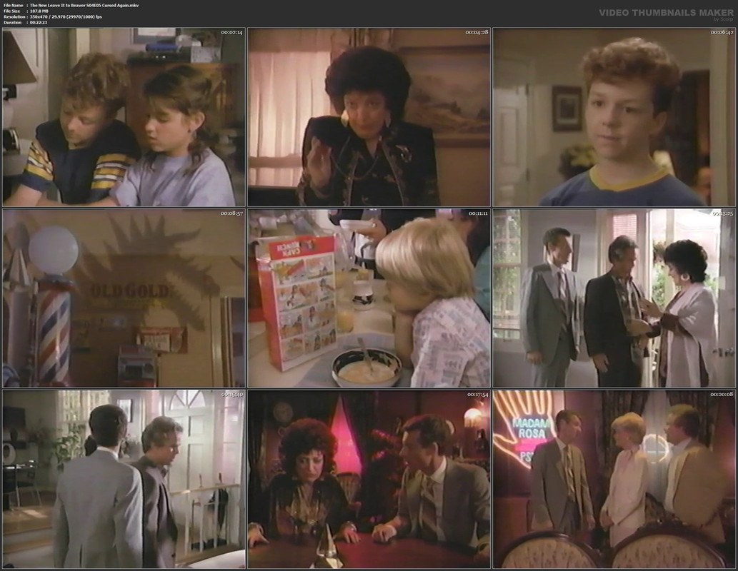 The New Leave It to Beaver S04E05 Cursed Again.mkv