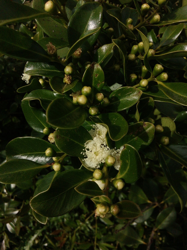 DSC_0291_resized_20190610_092621275