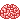 brain