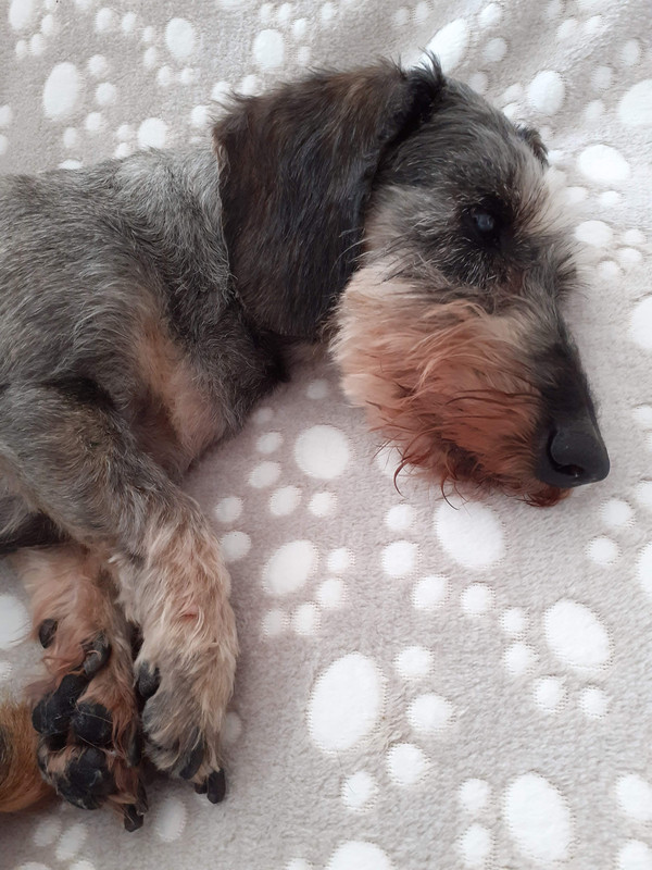 [Image: 20240413-160756.jpg]