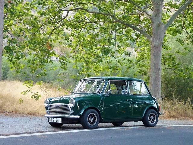 WhatsApp Image 2017-12-02 at 19.29.38(1)