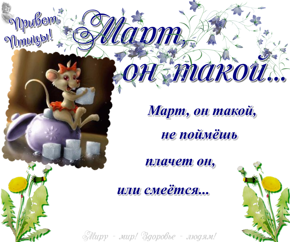 https://i.postimg.cc/cH6qBmzR/12-03.png