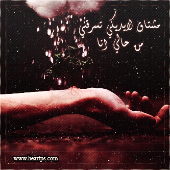 ���� ���� ������ �� ���� ������