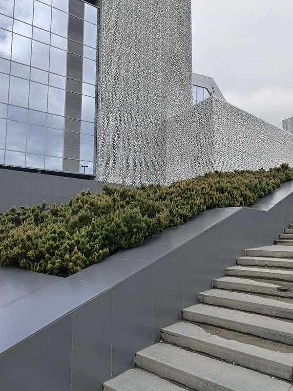 IMG_20240527_113232_741